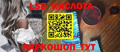 индика Славгород