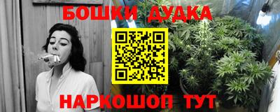 индика Славгород