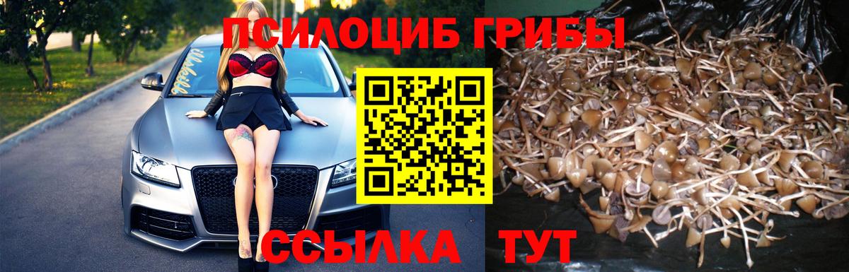 Галлюциногенные грибы Magic Shrooms  Псилоцибиновые грибы Psilocybe  Вход с VPN  Новотроицк 